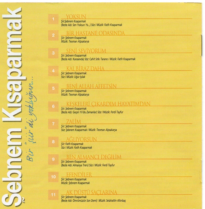 BİR ŞİİRDİ YOKLUĞUN
