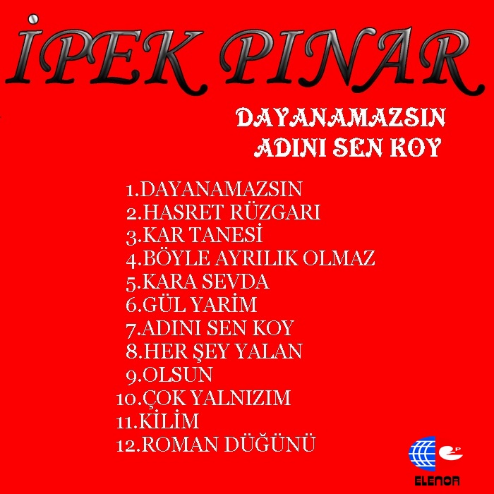 DAYANAMAZSIN