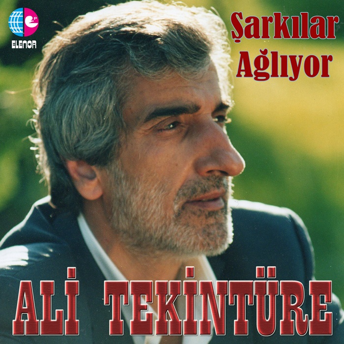 ŞARKILAR AĞLIYOR