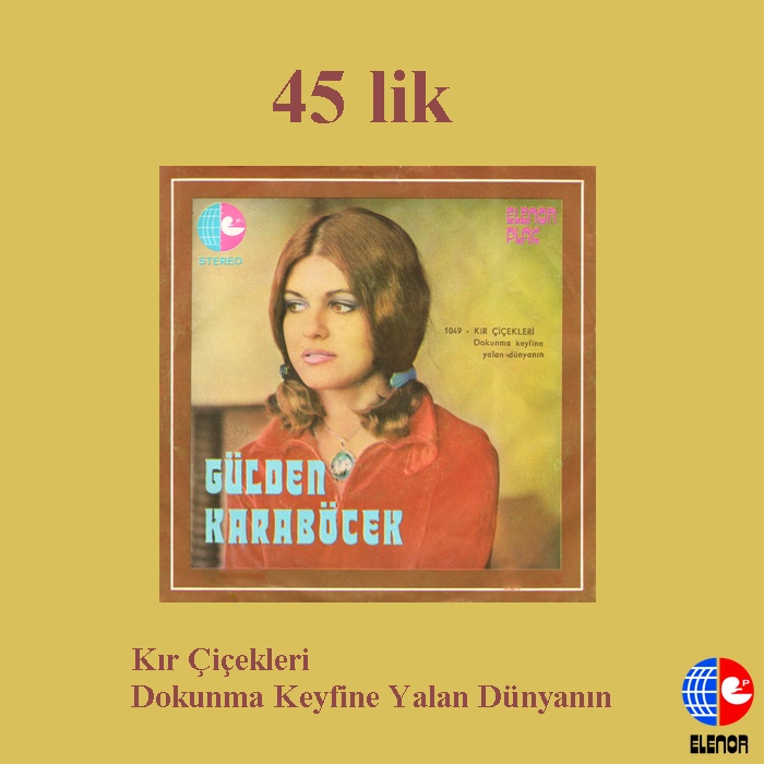 KIR ÇİÇEKLERİ-DOKUNMA KEYFİNE YALAN DÜNYANIN