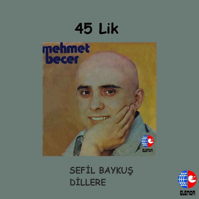 SEFİL BAYKUŞ - DİLLERE